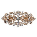 Faship Gorgeous Clear Crystal Floral Hair Barrette Clip