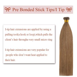 Rich Choices I Tip Hair Extensions Human Hair,100 Strands 0.5g/Strands,100% Real Remy Human Hair Extension Pre Bonded Keratin Stick In Hair Extensions Hair Piece For Women 22 Inch 12 Golden Brown