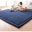 Loartee Coral Velvet Crawling Rug - Area Rug (5.0\'x 6\'8, Dark Blue) for Toddler Children Play Mat Yoga Mat Exercise Pads Carpet