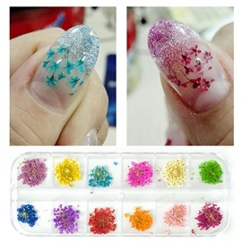 YesLady Nail Art Natural Real Dried Flowers 3D Art DIY Manicure Sticker Accessories 12 Colors YesLady Nail Art Natural Real Dried Flowers 3D Art DIY Manicure Sticker Accessories 12 Colors