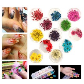 YesLady Nail Art Natural Real Dried Flowers 3D Art DIY Manicure Sticker Accessories 12 Colors YesLady Nail Art Natural Real Dried Flowers 3D Art DIY Manicure Sticker Accessories 12 Colors
