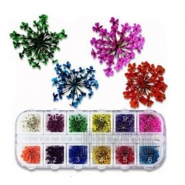 YesLady Nail Art Natural Real Dried Flowers 3D Art DIY Manicure Sticker Accessories 12 Colors YesLady Nail Art Natural Real Dried Flowers 3D Art DIY Manicure Sticker Accessories 12 Colors