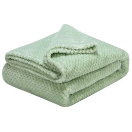 Fuzzy Throw Blanket, Plush Fleece Blankets for Adults, Toddler, Boys and Girls, Warm Soft Blankets and Throws for Bed, Couch, Sofa, Travel and Outdoor, Camping (Throw(50x70), L-Pastel Green)