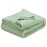 Fuzzy Throw Blanket, Plush Fleece Blankets for Adults, Toddler, Boys and Girls, Warm Soft Blankets and Throws for Bed, Couch, Sofa, Travel and Outdoor, Camping (Throw(50x70), L-Pastel Green)