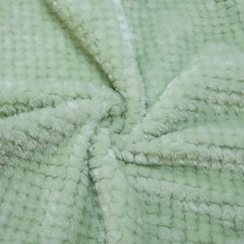 Fuzzy Throw Blanket, Plush Fleece Blankets for Adults, Toddler, Boys and Girls, Warm Soft Blankets and Throws for Bed, Couch, Sofa, Travel and Outdoor, Camping (Throw(50x70), L-Pastel Green)