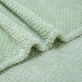 Fuzzy Throw Blanket, Plush Fleece Blankets for Adults, Toddler, Boys and Girls, Warm Soft Blankets and Throws for Bed, Couch, Sofa, Travel and Outdoor, Camping (Throw(50x70), L-Pastel Green)