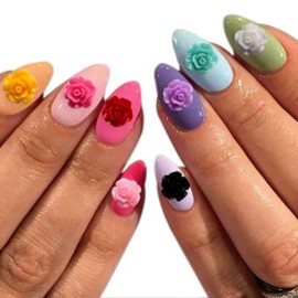 100 pieces Rose Embellishments for Nail Art Charm or jewelry making, 3D with Flat Back Resin Beads Manicure Multicolor Flowers 100 pieces Rose Embellishments for Nail Art Charm or jewelry making, 3D with Flat Back Resin Beads Manicure Multicolor Flowers