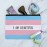 Personalized Custom 1 Line Transgender Pride Flag Makeup Cosmetic Bag Organizer Pouch