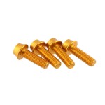 Wolf Tooth Precision Anodized Water Bottle Cage Bolts - 4 Pcs. Gold