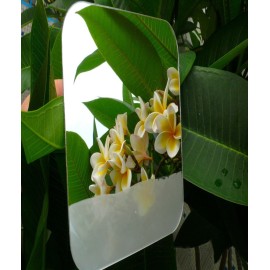 DFLLLO Large Fogless Shower Mirror, Anti-Fog Shower Mirror (11 inX7.8 in), Fog-Free Travel Shave Mirror, Shatterproof Shaving Mirror, Wall Hanging Mirror, Portable Makeup Mirror DFLLLO Large Fogless Shower Mirror, Anti-Fog Shower Mirror (11 inX7.8 in), Fog-Free Travel Shave Mirror, Shatterproof Shaving Mirror, Wall Hanging Mirror, Portable Makeup Mirror