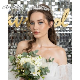 Araluky Crystal Tiara Crown Headband Princess Elegant Tiara with Combs for Women Young Ladies Bridal Wedding Prom Birthday Party, Silver