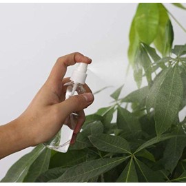 LASSUM 10 Pack 10ml/0.35oz Fine Mist Spray Bottle Clear Plastic Mini Spray Bottle for Essential Oils Makeup and Perfume