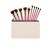 LifeUnite 10 PCS Canvas Makeup Bag Cosmetic Pouch Blank Zipper Bag-9.1  5.9 inch