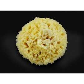 Premium Natural Sea Wool Sponges - 2 Soft Real Sponges 6-7 (Large) & 3- 4 (Medium); Perfect Luxury Gift for Bath, Shower and Cosmetic Facial Cleansing by Constantia Beauty