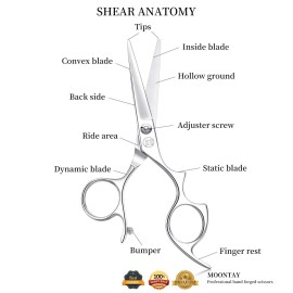 Moontay 6.0 Hair Cutting Shears with Large Finger Holes, Professional Barber Stylist Scissors, Salon Hair Cutting Scissors, 440C Japanese Stainless Steel, Silver Moontay 6.0 Hair Cutting Shears with Large Finger Holes, Professional Barber Stylist Scissors, Salon Hair Cutting Scissors, 440C Japanese Stainless Steel, Silver
