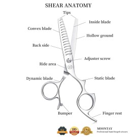 Moontay 6.0 Hair Cutting Shears with Large Finger Holes, Professional Barber Stylist Texturizing Shears, Salon Hair Cutting Scissors, 440C Japanese Stainless Steel, Silver Moontay 6.0 Hair Cutting Shears with Large Finger Holes, Professional Barber Stylist Texturizing Shears, Salon Hair Cutting Scissors, 440C Japanese Stainless Steel, Silver