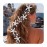 Unicra Starfish Bride Wedding Hair Vine Pearl Bridal Headband Headpiece Beach Wedding Hair Accessories for Women and Girls (Gold)