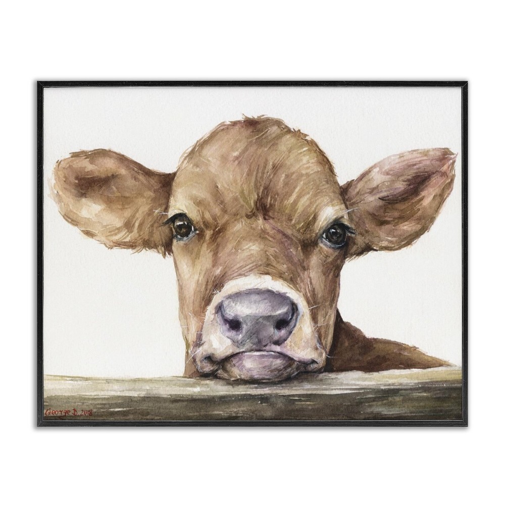 Stupell Industries Cute Baby Cow Animal Watercolor Painting Framed Giclee Art Design By Artist George Dyachenko