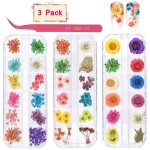 KISSBUTY 36 Colors Dried Flowers & Leaves Nail Art Set, 3D Applique Nail Decoration Sticker, Daisy, White, Pink, White with Yellow, Green