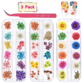 KISSBUTY 36 Colors Dried Flowers & Leaves Nail Art Set, 3D Applique Nail Decoration Sticker, Daisy, White, Pink, White with Yellow, Green