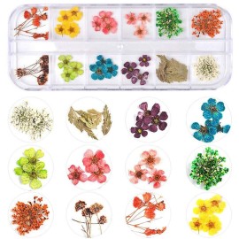 KISSBUTY 36 Colors Dried Flowers & Leaves Nail Art Set, 3D Applique Nail Decoration Sticker, Daisy, White, Pink, White with Yellow, Green KISSBUTY 36 Colors Dried Flowers & Leaves Nail Art Set, 3D Applique Nail Decoration Sticker, Daisy, White, Pink, White with Yellow, Green