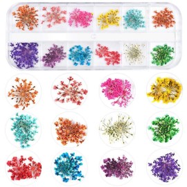 KISSBUTY 36 Colors Dried Flowers & Leaves Nail Art Set, 3D Applique Nail Decoration Sticker, Daisy, White, Pink, White with Yellow, Green KISSBUTY 36 Colors Dried Flowers & Leaves Nail Art Set, 3D Applique Nail Decoration Sticker, Daisy, White, Pink, White with Yellow, Green