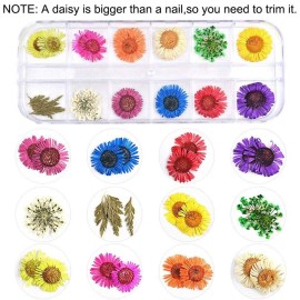 KISSBUTY 36 Colors Dried Flowers & Leaves Nail Art Set, 3D Applique Nail Decoration Sticker, Daisy, White, Pink, White with Yellow, Green KISSBUTY 36 Colors Dried Flowers & Leaves Nail Art Set, 3D Applique Nail Decoration Sticker, Daisy, White, Pink, White with Yellow, Green