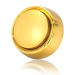 Gold Recordable Button - Easy 30 Sec Talk Button for Dogs & Golden Buzzer
