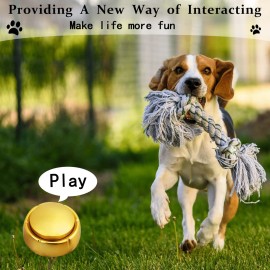 Gold Recordable Button - Easy 30 Sec Talk Button for Dogs & Golden Buzzer