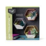 Craft Crush - Mini Plants Terrariums Easy Fun Arts and Craft Kit - Make 3 Charming Faux Terrariums! - For Ages 13 and Up