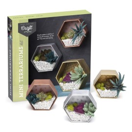 Craft Crush - Mini Plants Terrariums Easy Fun Arts and Craft Kit - Make 3 Charming Faux Terrariums! - For Ages 13 and Up
