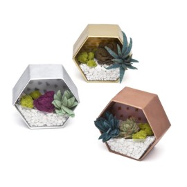 Craft Crush - Mini Plants Terrariums Easy Fun Arts and Craft Kit - Make 3 Charming Faux Terrariums! - For Ages 13 and Up