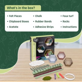 Craft Crush - Mini Plants Terrariums Easy Fun Arts and Craft Kit - Make 3 Charming Faux Terrariums! - For Ages 13 and Up