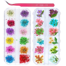 2 Boxes Nail Art Dried Flowers,UNIME 24 Colors Mini Real Natural Flowers Nail Art Supplies 3D Applique Nail Decoration Sticker for Tips Manicure Decor Accessories,Gypsophila