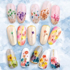 2 Boxes Nail Art Dried Flowers,UNIME 24 Colors Mini Real Natural Flowers Nail Art Supplies 3D Applique Nail Decoration Sticker for Tips Manicure Decor Accessories,Gypsophila 2 Boxes Nail Art Dried Flowers,UNIME 24 Colors Mini Real Natural Flowers Nail Art Supplies 3D Applique Nail Decoration Sticker for Tips Manicure Decor Accessories,Gypsophila