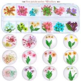 2 Boxes Nail Art Dried Flowers,UNIME 24 Colors Mini Real Natural Flowers Nail Art Supplies 3D Applique Nail Decoration Sticker for Tips Manicure Decor Accessories,Gypsophila 2 Boxes Nail Art Dried Flowers,UNIME 24 Colors Mini Real Natural Flowers Nail Art Supplies 3D Applique Nail Decoration Sticker for Tips Manicure Decor Accessories,Gypsophila