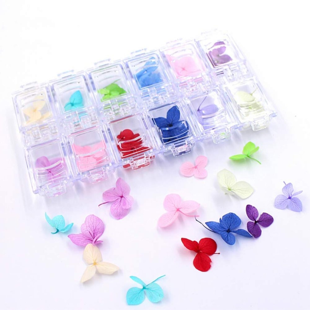 Minejin Nail Art Dried Flowers 3D Design Natural Real Dry Flower Sticker Tips Accessories 12 Colors Minejin Nail Art Dried Flowers 3D Design Natural Real Dry Flower Sticker Tips Accessories 12 Colors