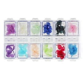 Minejin Nail Art Dried Flowers 3D Design Natural Real Dry Flower Sticker Tips Accessories 12 Colors Minejin Nail Art Dried Flowers 3D Design Natural Real Dry Flower Sticker Tips Accessories 12 Colors