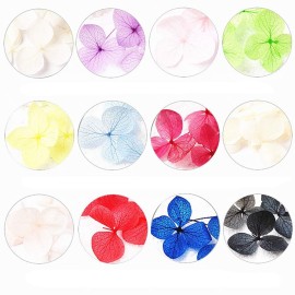 Minejin Nail Art Dried Flowers 3D Design Natural Real Dry Flower Sticker Tips Accessories 12 Colors Minejin Nail Art Dried Flowers 3D Design Natural Real Dry Flower Sticker Tips Accessories 12 Colors