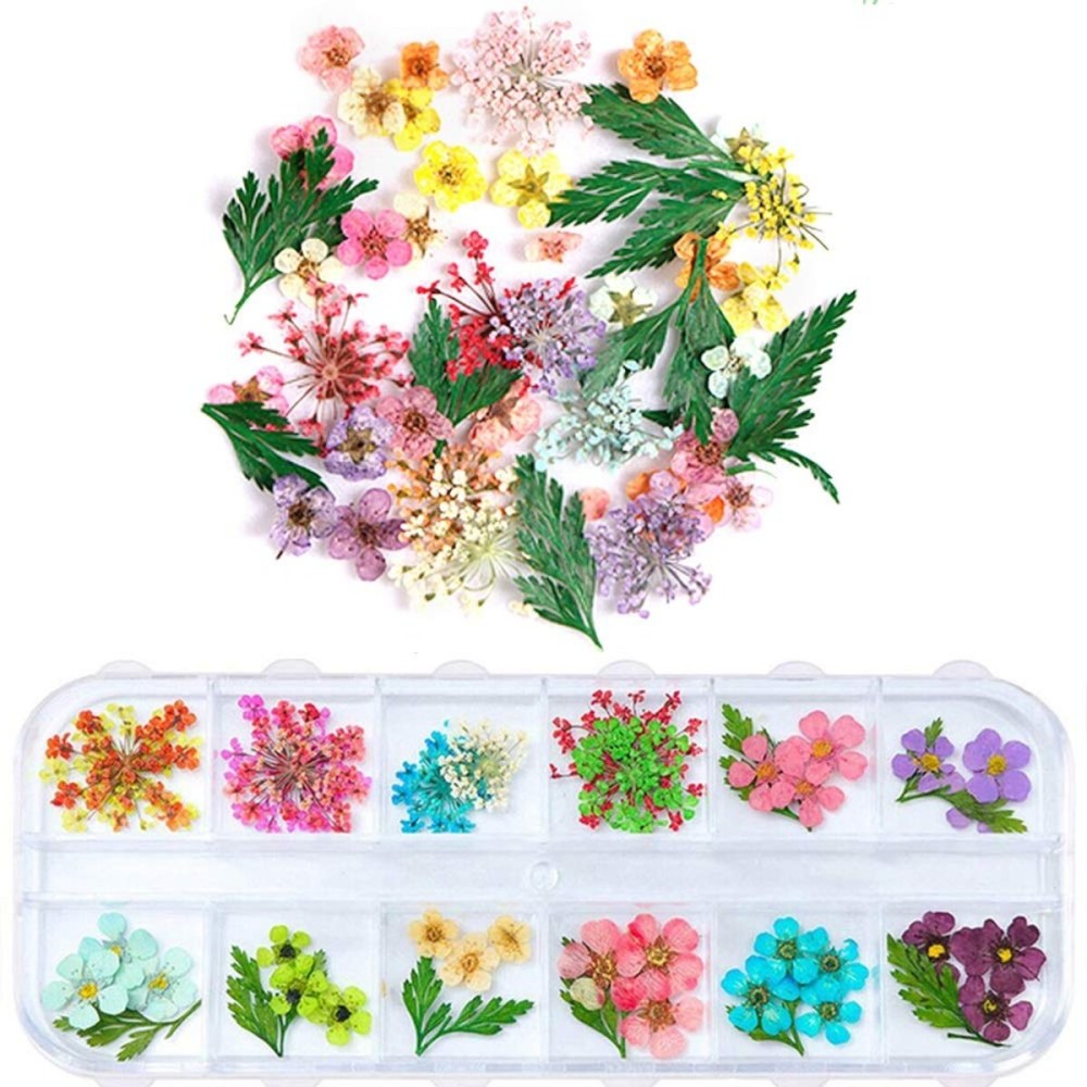 1 Box Dried Flowers for Nail Art, UNIME 16 Colors Dry Flowers Mini Real Natural Flowers Nail Art Supplies 3D Applique Nail Decoration Sticker for Tips Manicure Decor (Mixed Gypsophila Flowers)