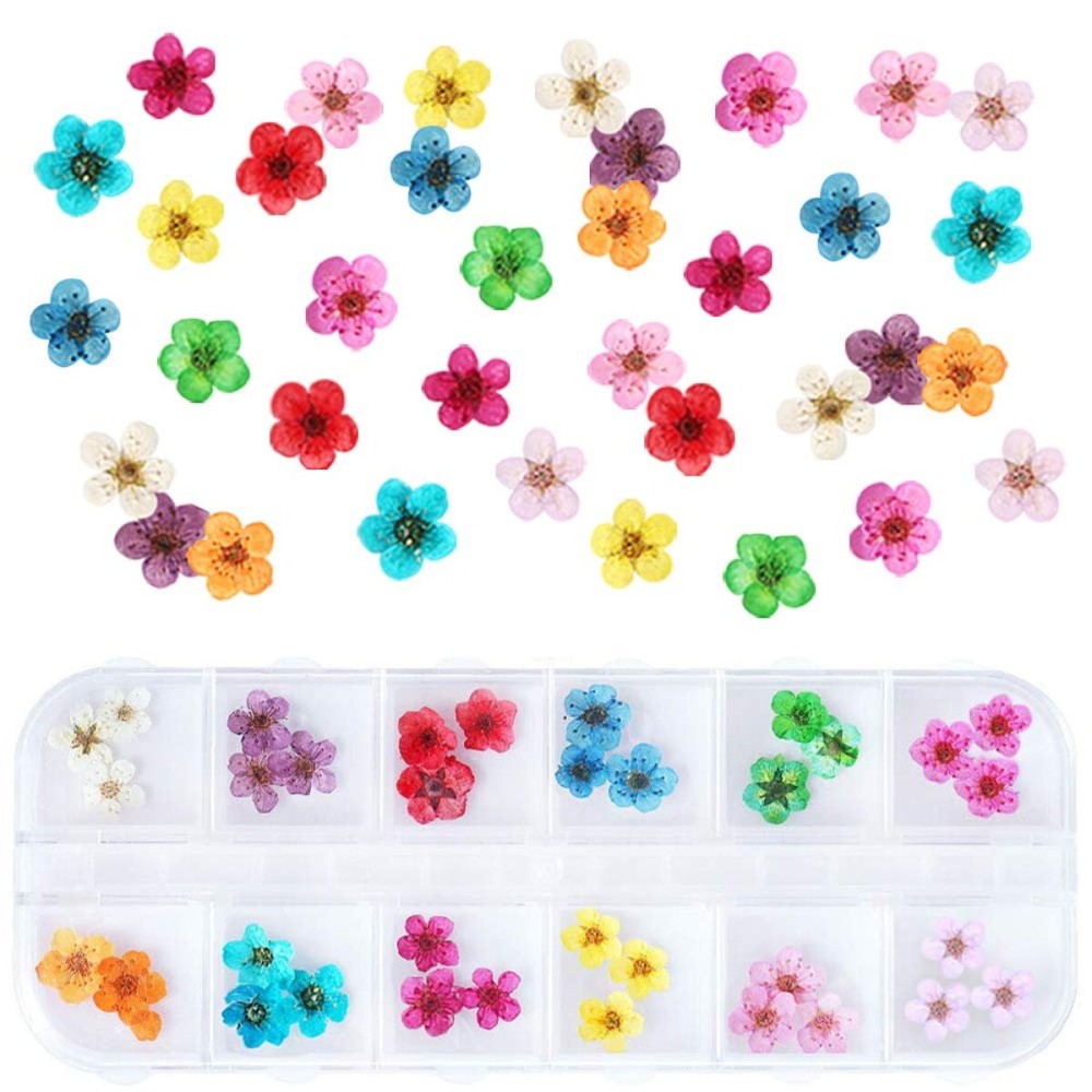 UNIME 12 Colors Dry Flowers Mini Real Natural Flowers Nail Art Supplies 3D Applique Nail Decoration Sticker for Tips Manicure Decor