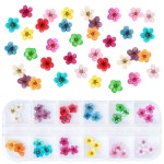 UNIME 12 Colors Dry Flowers Mini Real Natural Flowers Nail Art Supplies 3D Applique Nail Decoration Sticker for Tips Manicure Decor