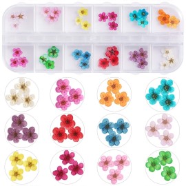 UNIME 12 Colors Dry Flowers Mini Real Natural Flowers Nail Art Supplies 3D Applique Nail Decoration Sticker for Tips Manicure Decor