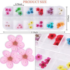 UNIME 12 Colors Dry Flowers Mini Real Natural Flowers Nail Art Supplies 3D Applique Nail Decoration Sticker for Tips Manicure Decor