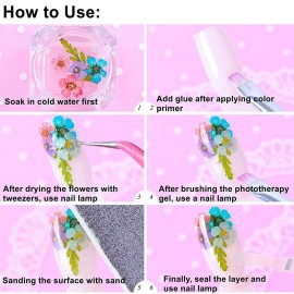 UNIME 12 Colors Dry Flowers Mini Real Natural Flowers Nail Art Supplies 3D Applique Nail Decoration Sticker for Tips Manicure Decor