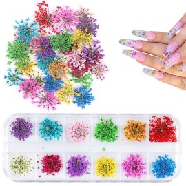 1 Box Dried Flowers for Nail Art, UNIME 12 Colors Dry Flowers Mini Real Natural Flowers Nail Art Supplies 3D Applique Nail Decoration Sticker for Tips Manicure Decor (Gypsophila)