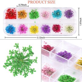 1 Box Dried Flowers for Nail Art, UNIME 12 Colors Dry Flowers Mini Real Natural Flowers Nail Art Supplies 3D Applique Nail Decoration Sticker for Tips Manicure Decor (Gypsophila) 1 Box Dried Flowers for Nail Art, UNIME 12 Colors Dry Flowers Mini Real Natural Flowers Nail Art Supplies 3D Applique Nail Decoration Sticker for Tips Manicure Decor (Gypsophila)