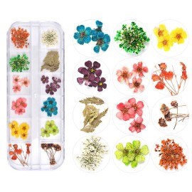 TEOYALL 24 Colors Dried Flowers for Nail Art, 2 Boxes 3D Dry Flowers Nail Stickers Colorful Natural Real Flower Nail Decals