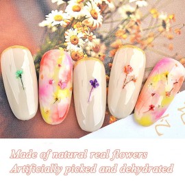 TEOYALL 24 Colors Dried Flowers for Nail Art, 2 Boxes 3D Dry Flowers Nail Stickers Colorful Natural Real Flower Nail Decals