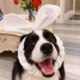 Linsiter Headband Wire Rabbit Ear Facial Washing, Coral Fleece Bathroom Headband Soft Spa Hairband for Washing Face, White Linsiter Headband Wire Rabbit Ear Facial Washing, Coral Fleece Bathroom Headband Soft Spa Hairband for Washing Face, White